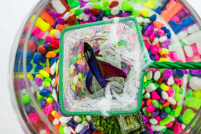 moving companies boxes