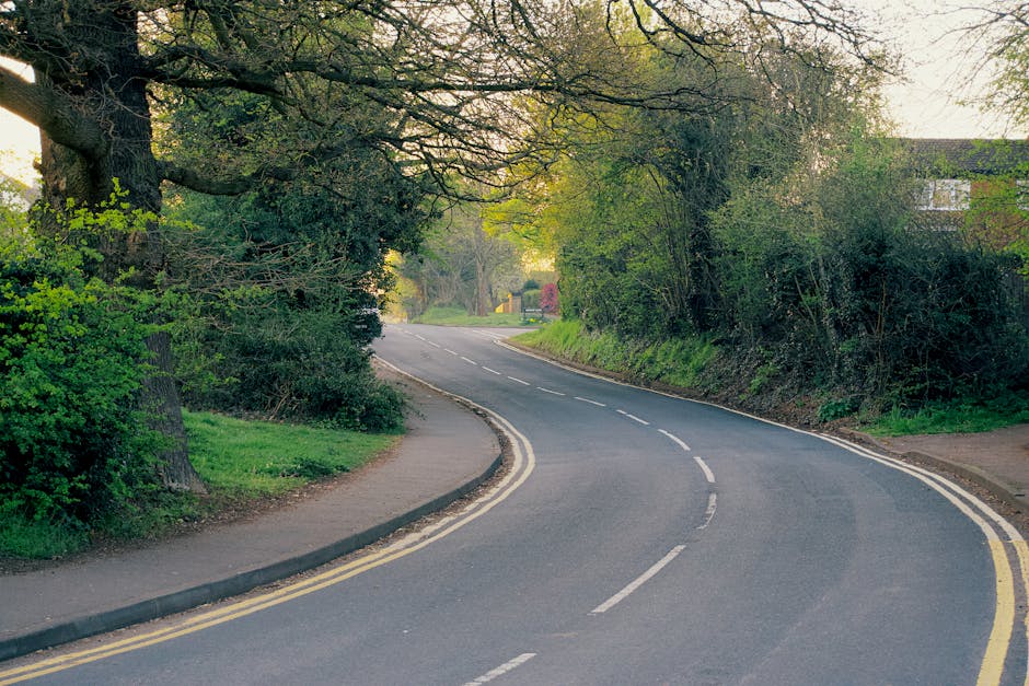A quiet residential street with a winding tarmac road marked by double yellow lines along the kerb. On the left side, there is a narrow footpath adjacent to a large mature tree with substantial branches extending over the road, surrounded by green foliage and bushes. To the right, a grassy verge separates the road from a row of dense bushes and trees, with residential buildings partially visible through the greenery. The scene is illuminated by natural daylight, casting soft shadows on the road and vegetation. This setting illustrates a typical suburban environment conducive to home relocation or furniture transport, relevant for house removals and moving services such as those offered by Man with Van West Drayton, responsible for packing and loading processes within residential areas.